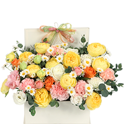 ����/�����