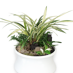 ����/����