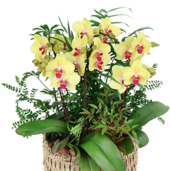 ����/����